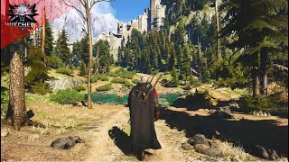 The Witcher 3 - Nature, Music & Ambience - Walking near Kaer Morhen