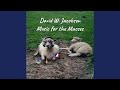 Music for the Masses
