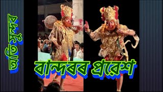 Assamese vauna //বান্দৰৰ প্ৰৱেশ। //স্হান= চোঁমনী গাঁও