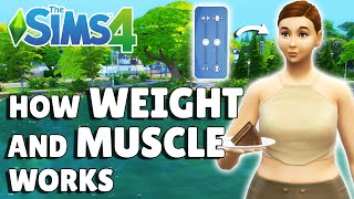 Weight In The Sims 4 Works Differently To How You’d Expect