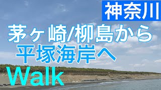 【神奈川】茅ヶ崎・柳島海岸から平塚海岸へ海沿いをウォーキング！柳島海岸/柳島しおかぜ広場/湘南大橋/平塚砂丘/平塚海岸/ひらつかビーチパーク