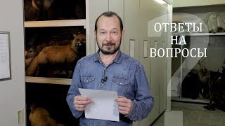 Всё, что вы хотели знать про коллекции музея. Игорь Фадеев