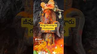 బలవంతం లేదు