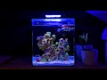 Nano Reef Tank No Skimmer Update Month Three