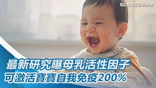 全球關注！最新研究曝母乳活性因子　可激活寶寶自我免疫200%｜三立新聞網 SETN.com #母乳活性 #母乳營養 #自我免疫