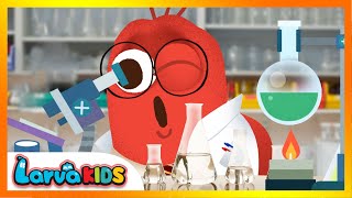 [NEW!] job song | kids song | GREAT JOBS IN THE WORLD | larva kids | live action