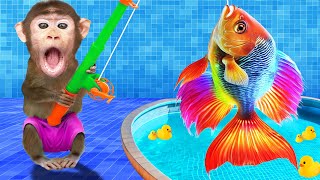 Mono KuKu Pesca un Gigante Pez Dorado en la Piscina con un Patito | MONO BEBE ESP