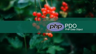 How To Use PDO (PHP Data Objects) to Integrate MySql Database | PHP Object Oriented Programming