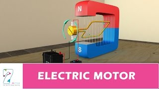 ELECTRIC MOTOR