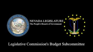 1/29/2025 - Legislative Commission's Budget Subcommittee