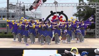 めっちゃええやんず（犬山踊芸祭2013）