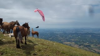 Paragliding Monte Cucco