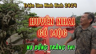 Huyền Nhai Cổ Mộc - NV Dũng Tràng Thi | Triển lãm Ninh Bình 2024