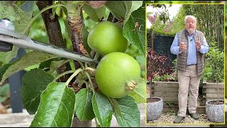 ARBRES FRUITIERS NAINS, CHOISIR, NOURRIR, CULTIVER, PROTÉGER, Jardiner ça fait du bien émission N°39