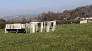 Oscar schooling grass