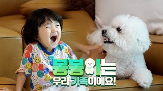 [슈돌유튜브🎁]슈퍼맨이 돌아왔다 438회 티저-김동현네X단우,연우 [The Return of Superman]