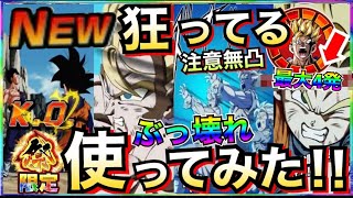 誰だよ性能考えたの!!『全てが最高峰』ぶっ壊れ『祭・親子三大かめはめ波』使ったら◯◯じゃねーか！！【ドッカンバトル】【地球育ちのげるし】