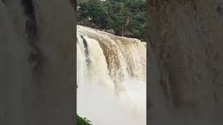 Record break overflowing water from Gokak Waterfall #waterfall #nature #trending