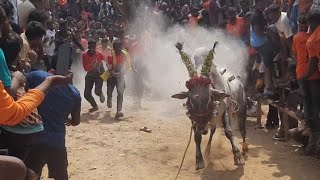 panamadangi EX தலைவர் maadu pallathur street 2023 mass crowds celebrate runs🔥🥳