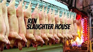 Ren - Slaughter House [FIRST TIME REACTION]