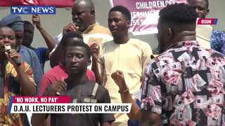 OAU Lecturers Protest No Work, No Pay On Campus