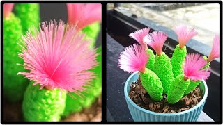 How to Make Cactus from Paracord || Kaktus Cantik dari  Tali Kur (Cute \u0026 Easy)