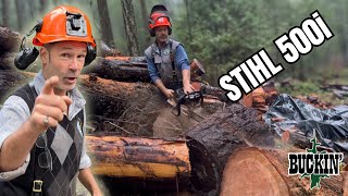 Does your Chainsaw sound like this?