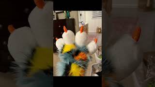 Furry Transformation