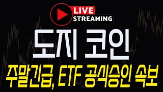 [도지코인] LIVE 긴급속보! \