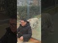 a man is testing whether a tiger will consider him as prey tiger