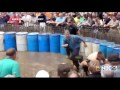 hog wrestling controversy