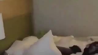 Kermit trying to sleep