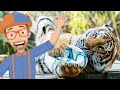 ZOO SONG | Educational Songs For Kids