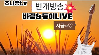 💥조나영t.v커버킹~듀엣~바람과 둥이 LIVE~벙개~2월16일