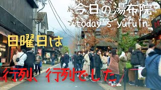 【今日の湯布院】日曜日は、行列行列でした　金賞コロッケと中津唐揚げが行列でした　由布院駅から湯の坪街道をドライブ　#湯布院 #yufuin #유후인