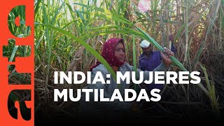 La India: la tierra de las mujeres sin útero | ARTE.tv Documentales