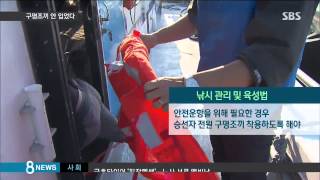 [정치] 구명조끼 안 입었다가…안전불감증이 부른 참사 (SBS8뉴스|2015.09.06)