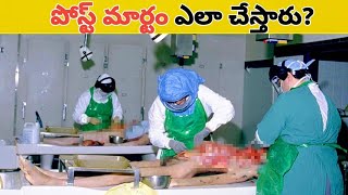 How to Post Mortem Full Explanation in Telugu