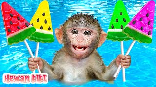 Monkey Hewan eat Watermelon Ice Cream with Cute Puppy in the Pool | Hewan KIKI Channel