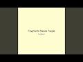 Fragments Breeze Fragile