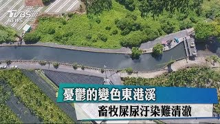 憂鬱的變色東港溪　畜牧屎尿汙染難清澈