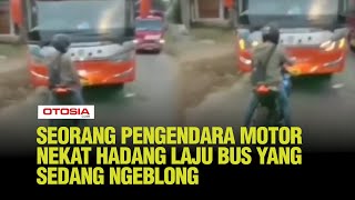 Momen Unik Seorang Pria Nekat Berhenti di Tengah Jalan Hadang Laju Bus yang Sedang Ngeblong