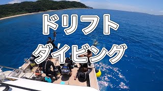 ドリフトダイビング・アリガー・ディーズパルス沖縄