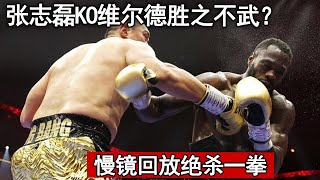 张志磊KO维尔德胜之不武？慢镜回放绝杀一拳，还原维尔德转身真相【拳击对对碰】