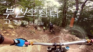 [고창MTB파크][다운힐][브리]/부산오장터 막방/산악자전거