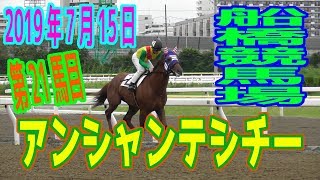 一口馬主応援記　21馬目　アンシャンテシチー