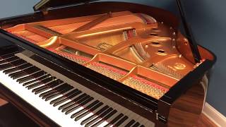 Yamaha DGC-1 Disklavier Grand Piano