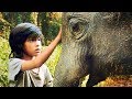 Mon Ami L'Éléphant - Film Complet En Français ☆ Familial - Drame ☉