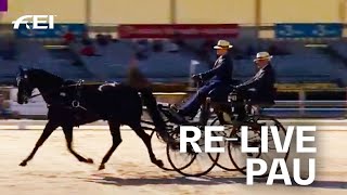 RE-LIVE | Dressage Day 1 | Pau (FRA) | FEI Driving World Championship 2020 for Singles