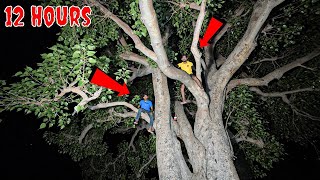 पीपल के पेड़ पर बिताई पूरी रात😱 | Extreme 12 Hour Night On Tree Challenge